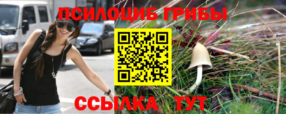 Галлюциногенные грибы Magic Shrooms  даркнет сайт  Вход с VPN  Можга  Псилоцибиновые грибы мухоморы 