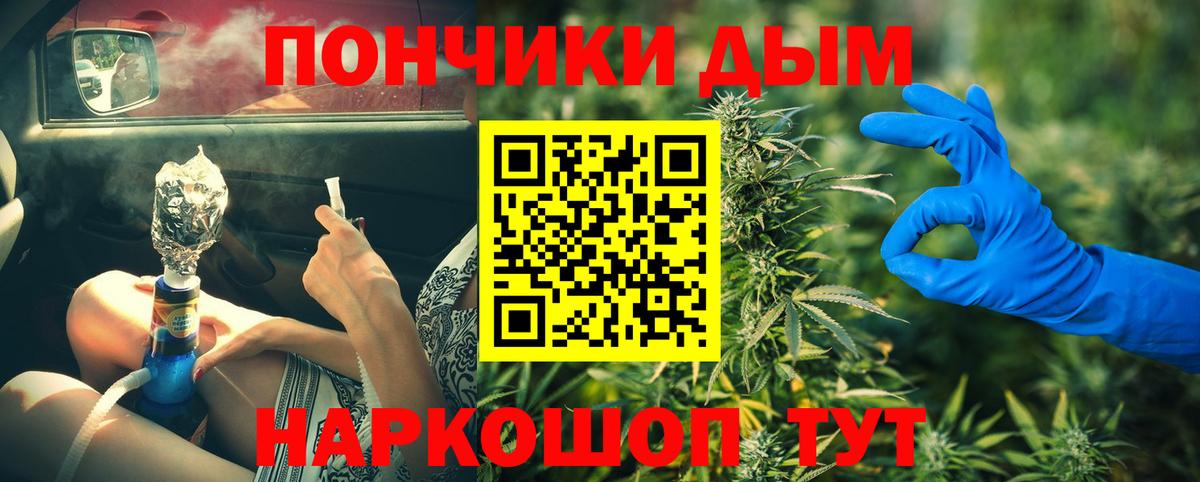 Можга  Бошки марихуана индика  Бошки марихуана планчик  Каннабис индика  Вход с VPN  Конопля конопля 